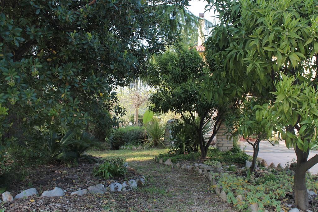 B&B Azzurra Pescara Exteriér fotografie