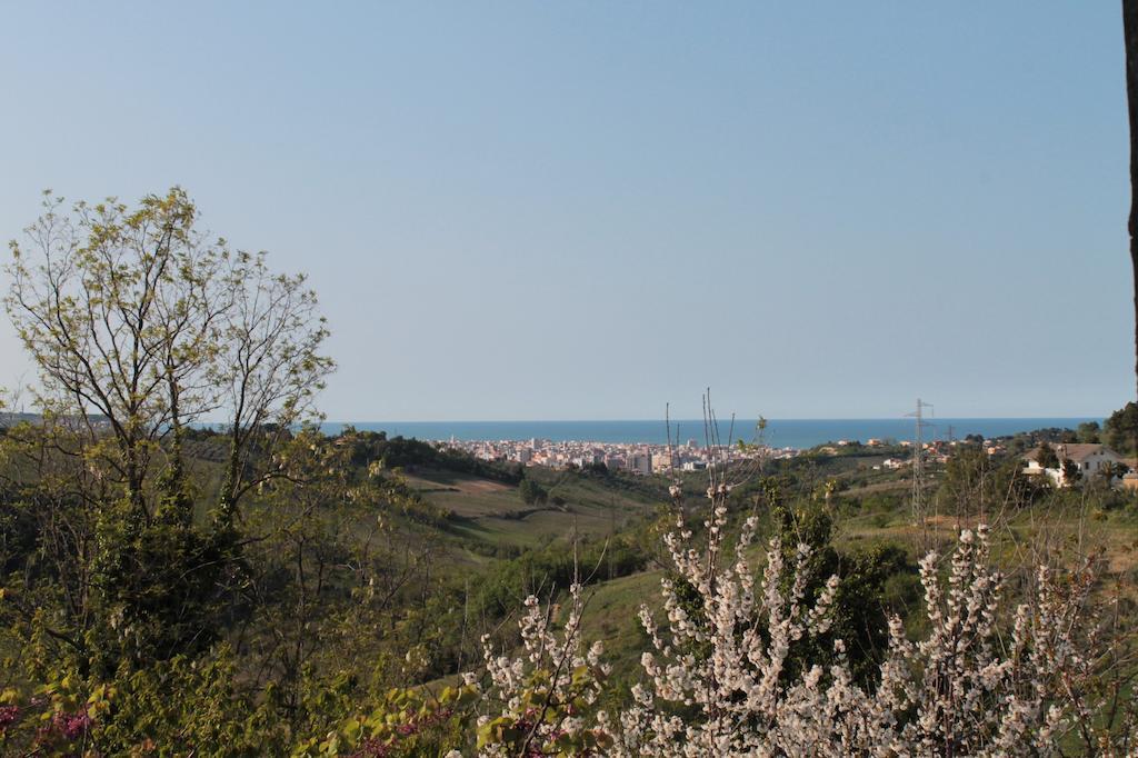 B&B Azzurra Pescara Exteriér fotografie