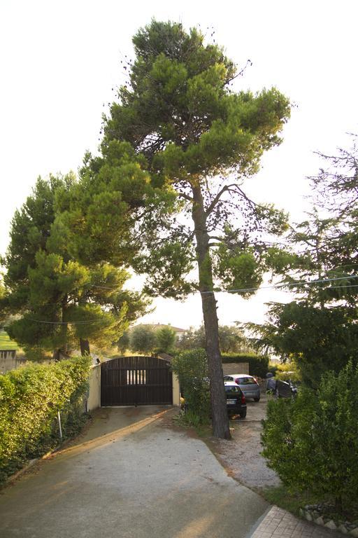 B&B Azzurra Pescara Exteriér fotografie